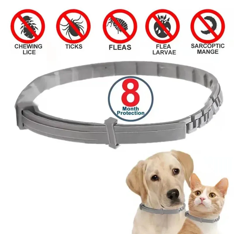 Collari Anti pulci e zecche per cani, collare regolabile di protezione per animali domestici di 8 mesi per cani di taglia grande