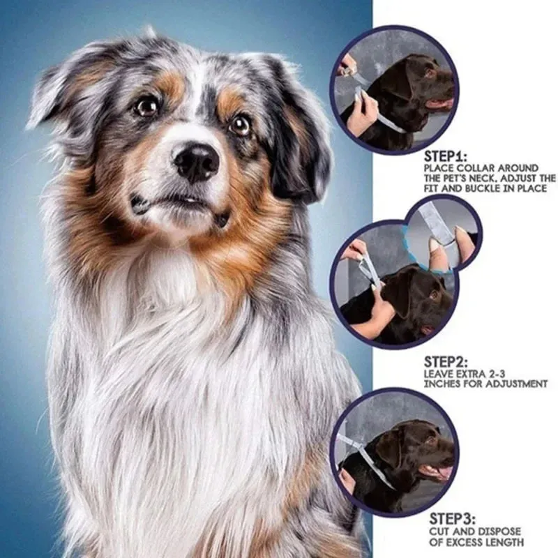 Collari Anti pulci e zecche per cani, collare regolabile di protezione per animali domestici di 8 mesi per cani di taglia grande