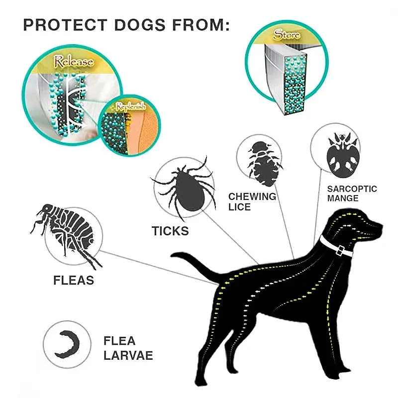 Collari Anti pulci e zecche per cani, collare regolabile di protezione per animali domestici di 8 mesi per cani di taglia grande