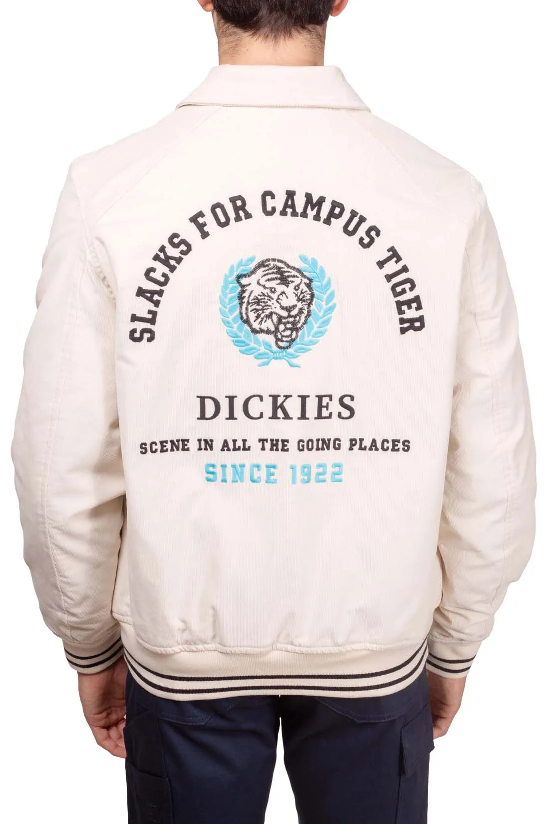 DICKIES Giacca uomo Westmoreland in velluto a coste