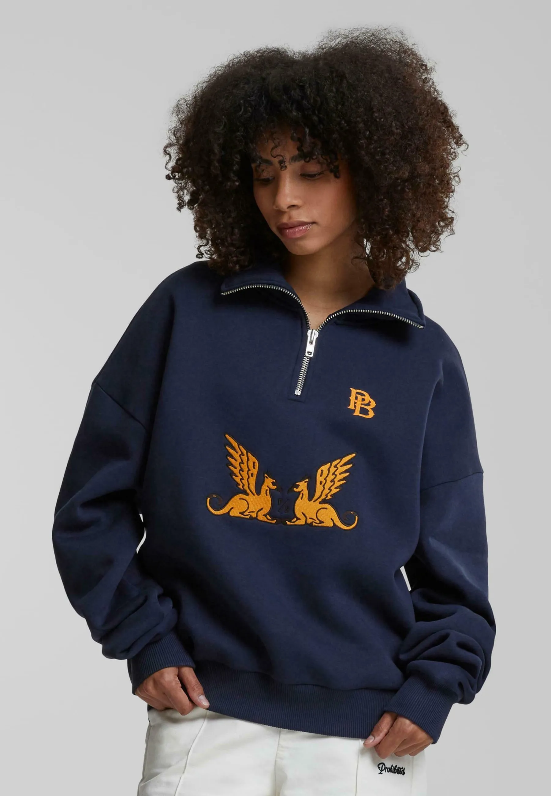 GRIFFIN HALF-ZIP - Felpa con zip