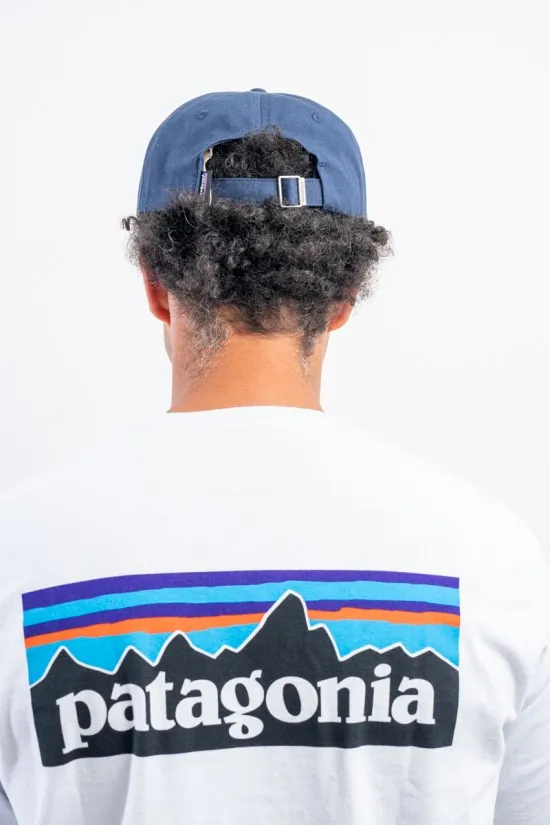 PATAGONIA P6 LABEL TRAD CAP 38296
